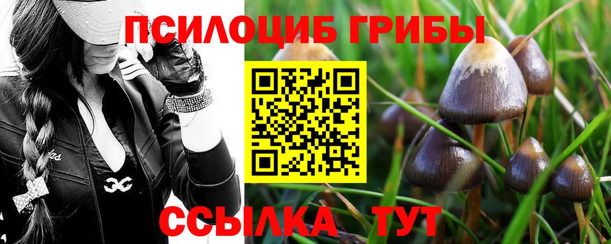 Галлюциногенные грибы мухоморы Назарово