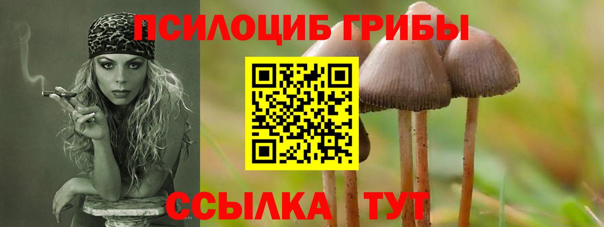 Назарово  Псилоцибиновые грибы мицелий  Вход с VPN 